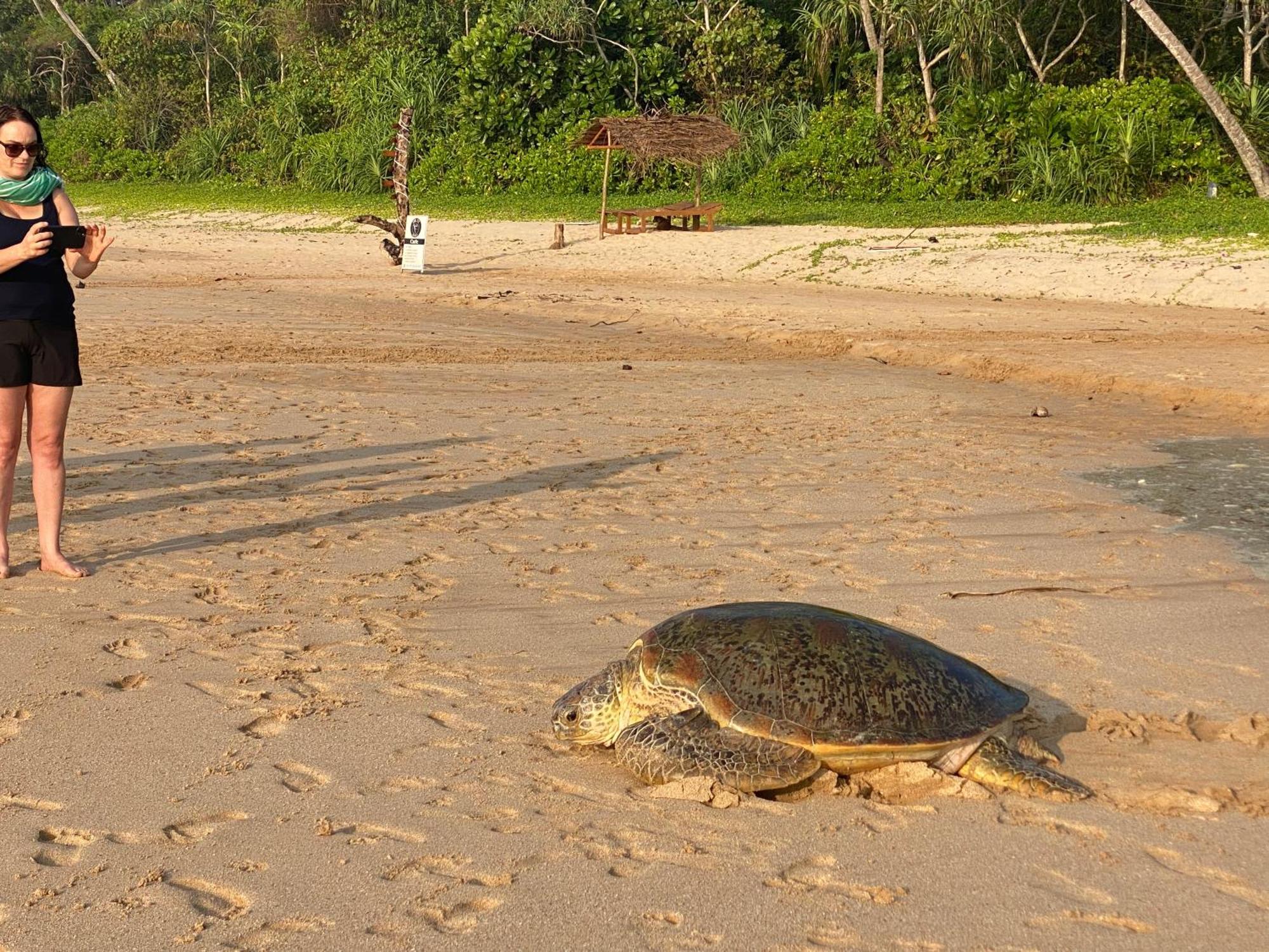 Talalla Bay Beach エクステリア 写真