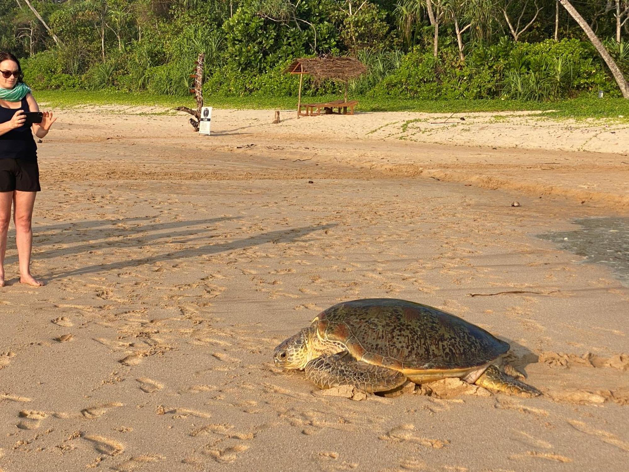 ホテル Talalla Bay Beach エクステリア 写真