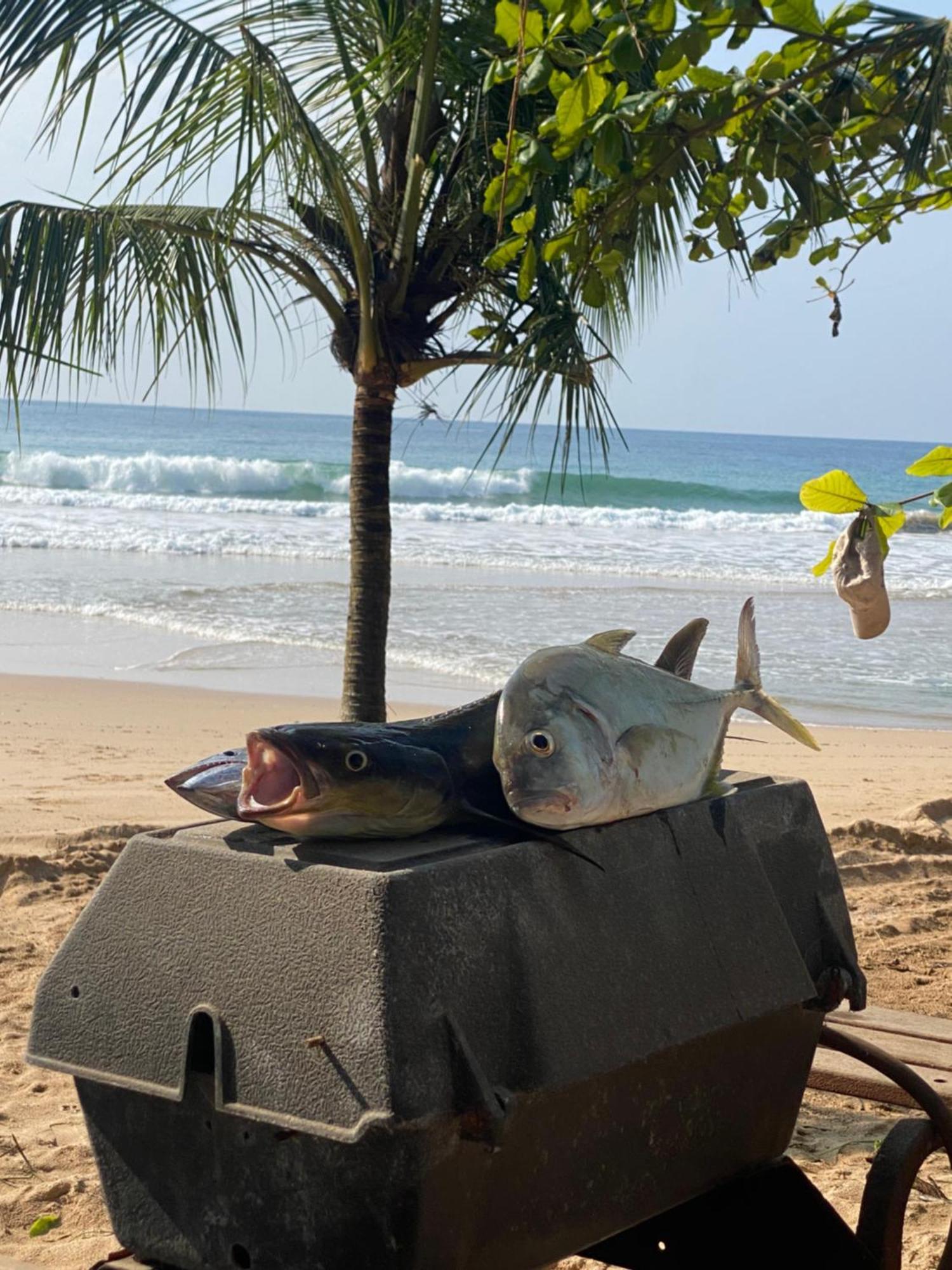 ホテル Talalla Bay Beach エクステリア 写真