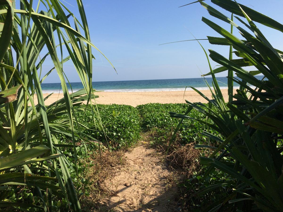 ホテル Talalla Bay Beach エクステリア 写真